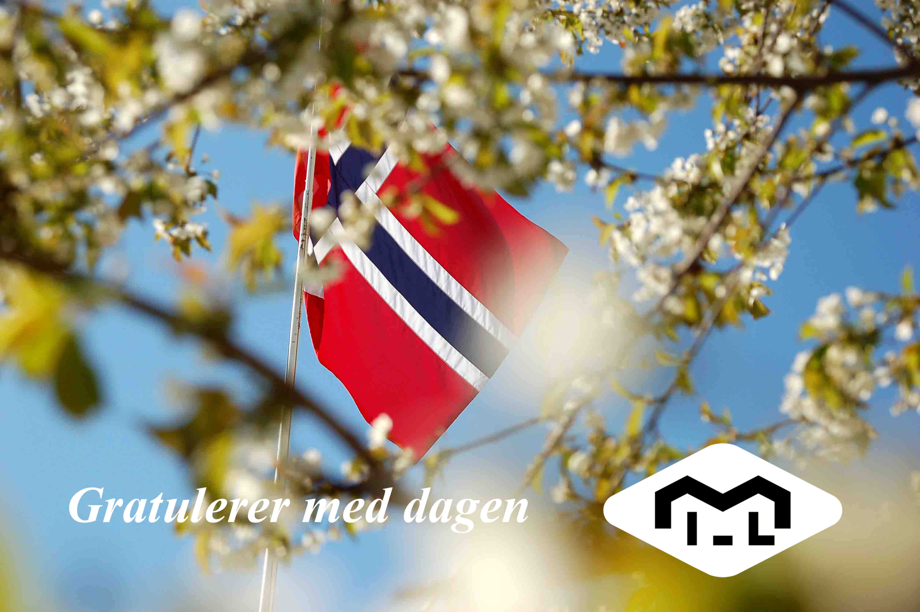 17. mai - feiring og tog under idrettslagets fane